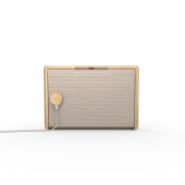 Bang & Olufsen BeoSound Level Light Oak (1200498)