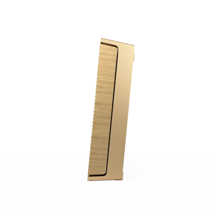 Bang & Olufsen BeoSound Level Light Oak (1200498)