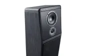 Canton Ergo GS Edition Black Oak
