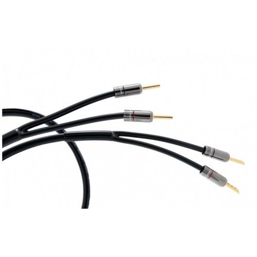 Atlas Hyper Achromatic Z 3.5 з бананами Rhodium Z plug 3м