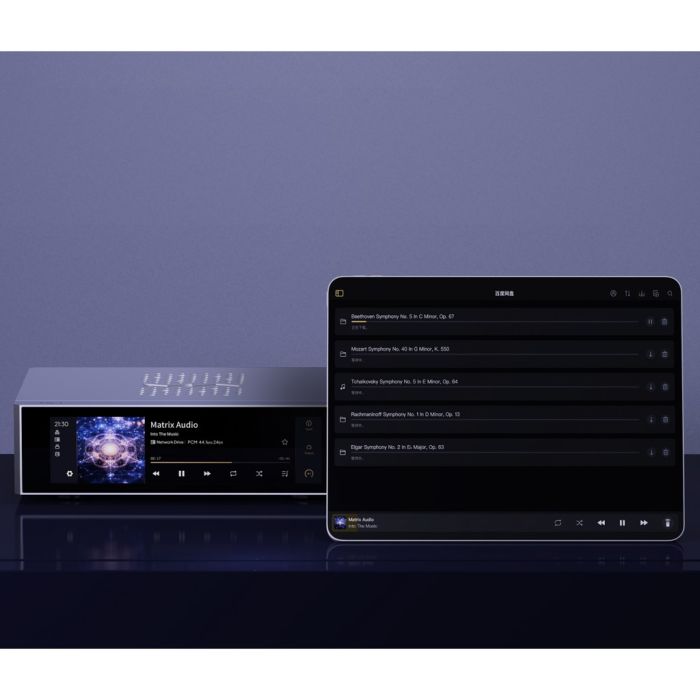Matrix Audio TS-1