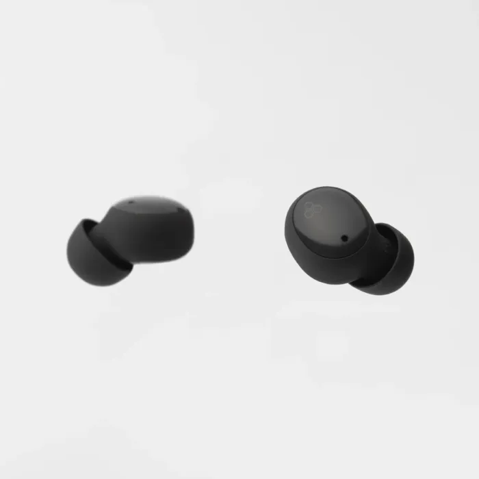 Final Audio ZE500 for ASMR DARK GRAY