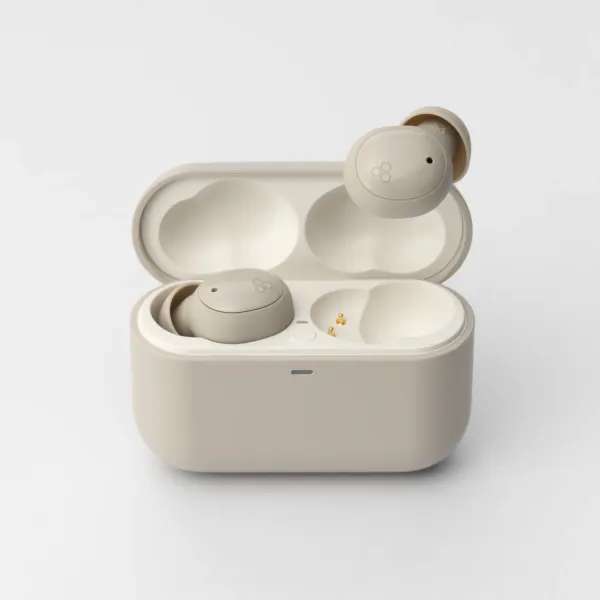 Final Audio ZE500 for ASMR CREAM