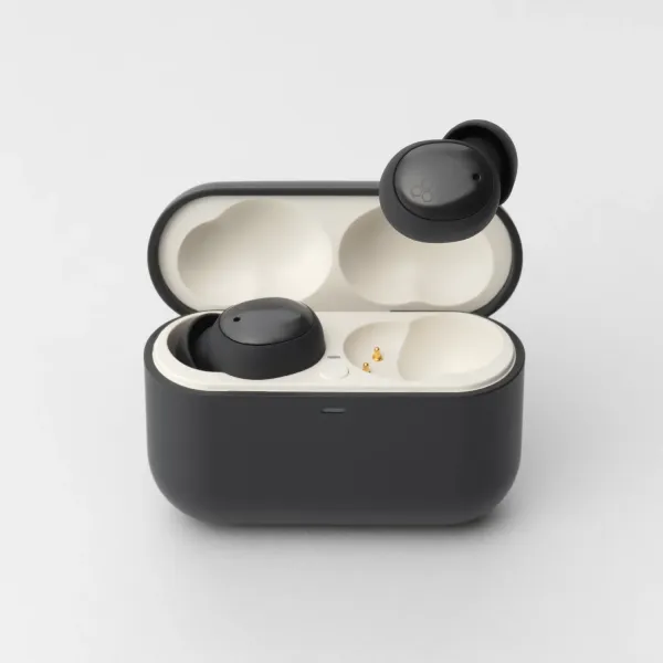 Final Audio ZE500 for ASMR DARK GRAY