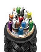 AudioQuest Dragon 48G 0,6m