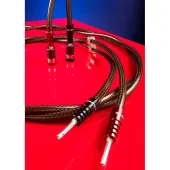 Акустичний кабель CHORD EpicXL Speaker Cable ban-ban Pair 2.5m