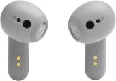 JBL Live Flex Silver (JBLLIVEFLEXSVR)