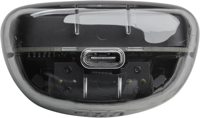 JBL Tune Flex Ghost Edition Black (JBLTFLEXGBLK)