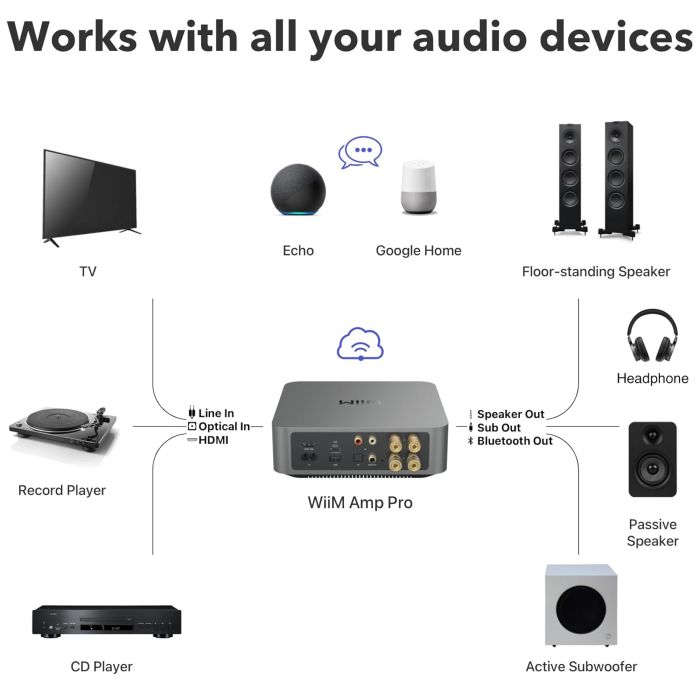 Wiim AMP PRO