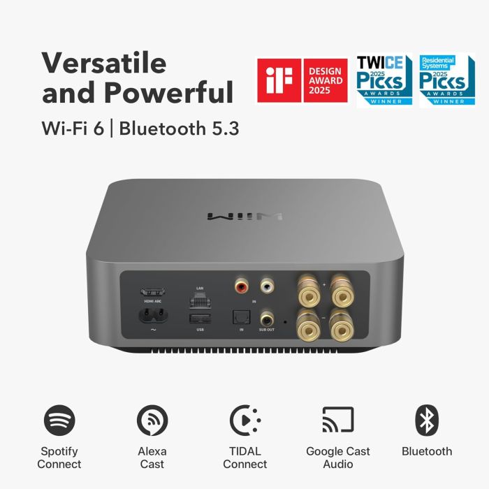 Wiim AMP PRO