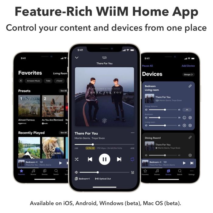 Wiim AMP PRO