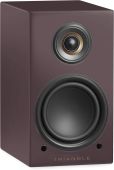 Triangle LN01A Purple