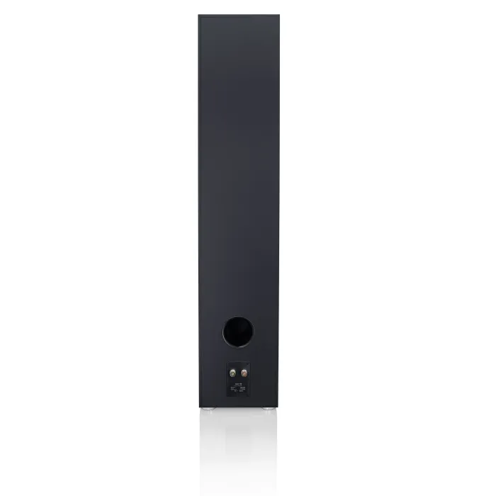 Canton GLE 100 Black