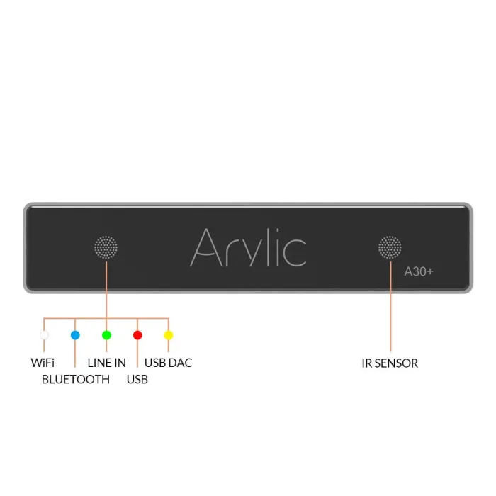 Arylic A30+