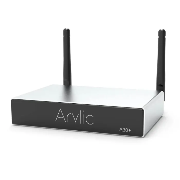 Arylic A30+