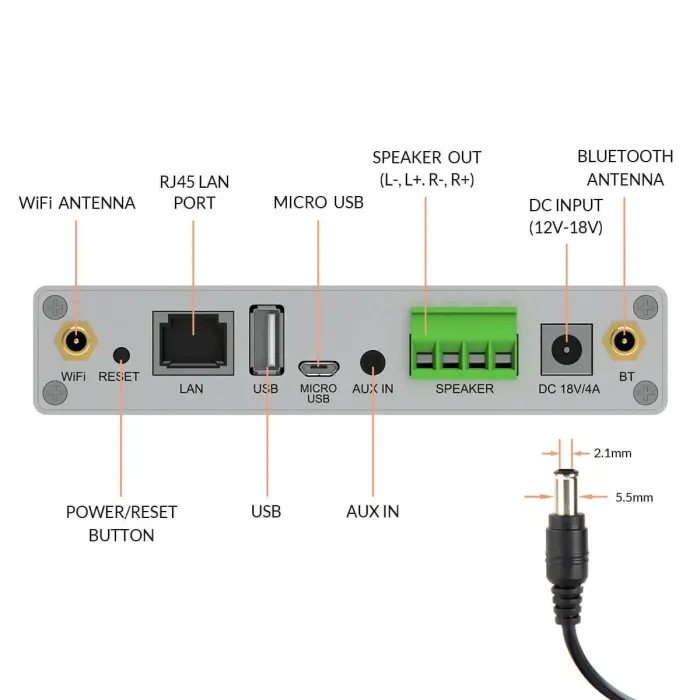 Arylic A30+