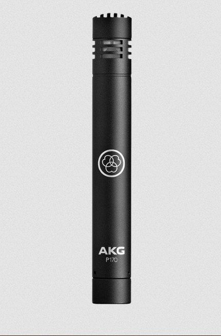AKG P170
