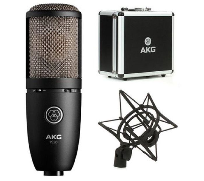 AKG P220