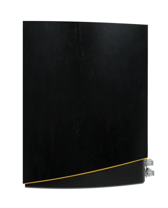 Arcam R25 (ARCR25BLK)