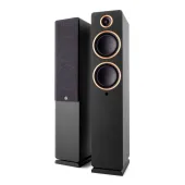 Argon Audio FENRIS Active 55 Black
