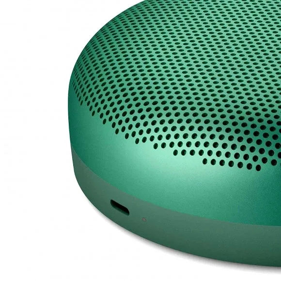 Bang & Olufsen Beosound A1 2nd Gen Green (1734012)