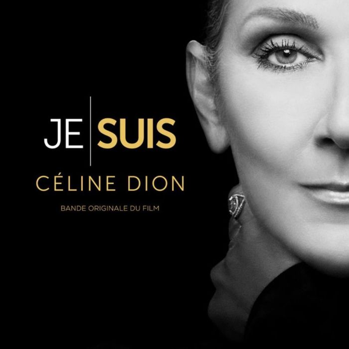 Celine Dion: Je Suis - Celine Dion /2LP