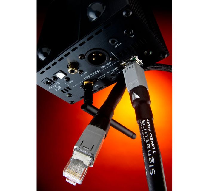 CHORD Signature Digital Super ARAY USB 1m