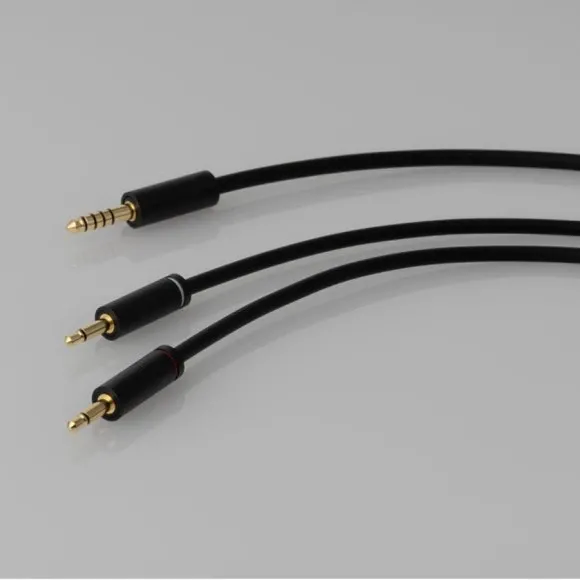Final Audio DX3000 CL Black