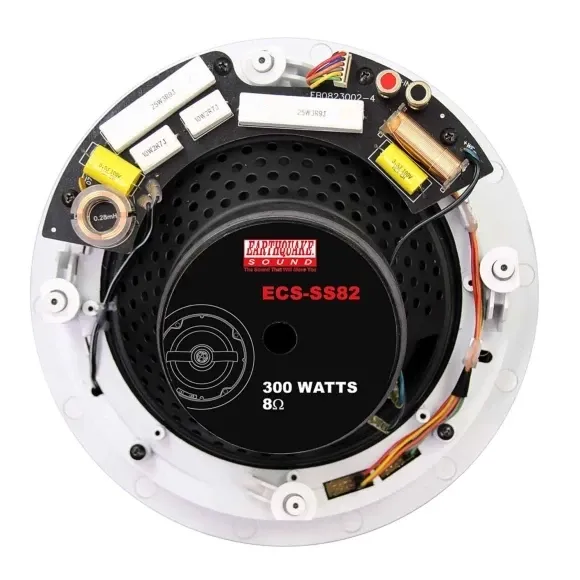 Earthquake ECS-SS-82