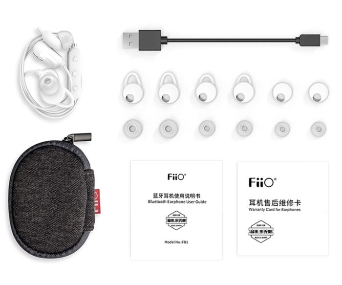 FiiO FB1