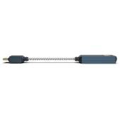 iFi Go Link 2 Max
