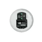 JBL CONTROL 65PT WH (C65P/T-WH)