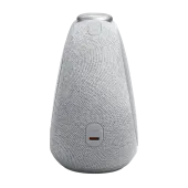 JBL HORIZON 3 Gray (JBLHORIZON3GRYEP)