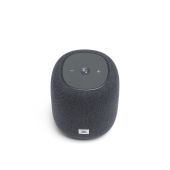 JBL Link Music Grey (JBLLINKMUSICGRY)