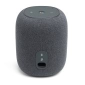 JBL Link Music Grey (JBLLINKMUSICGRY)