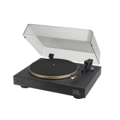 JBL Spinner BT Gold