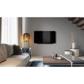 Loewe Bild 3.55 graphite grey