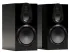 Monitor Audio Gold 100 High Gloss Black (6G)
