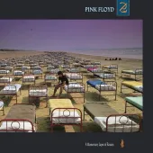Pink Floyd: A Momentary Lapse of Reason