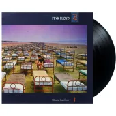 Pink Floyd: A Momentary Lapse of Reason