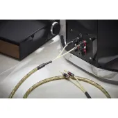 QED GAXT PRE-TERM Speaker Cable 2.5M (QE1472)