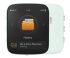 Shanling Q1