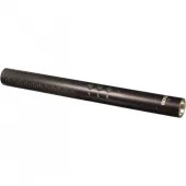 Rode NTG-4+