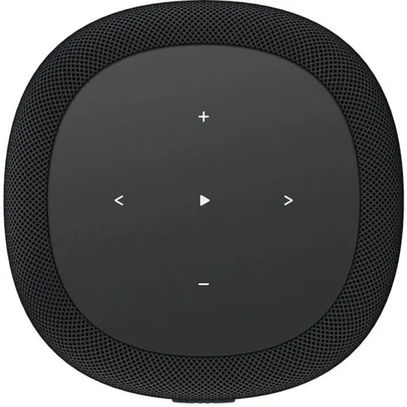 WiiM Sound Lite Black