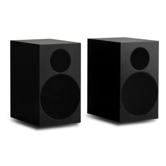 Tone Speaker S Satin Black