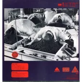 The Alan Parsons Project: Ammonia Avenue