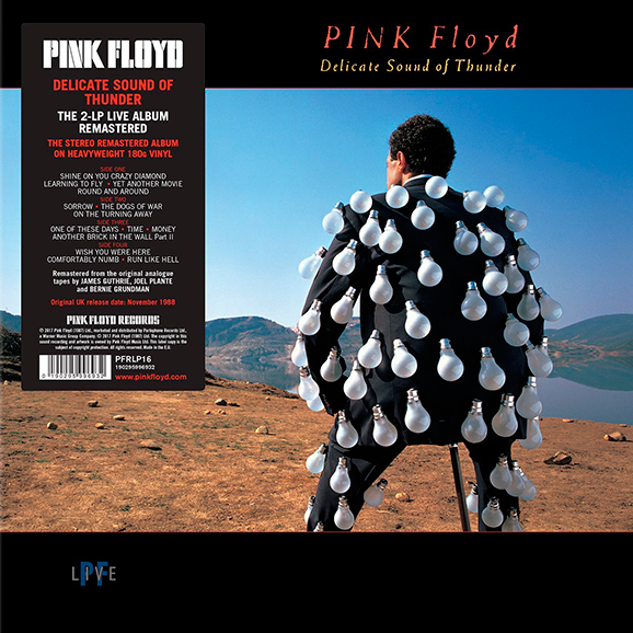 Pink Floyd: Delicate Sound Of Thunder /2LP