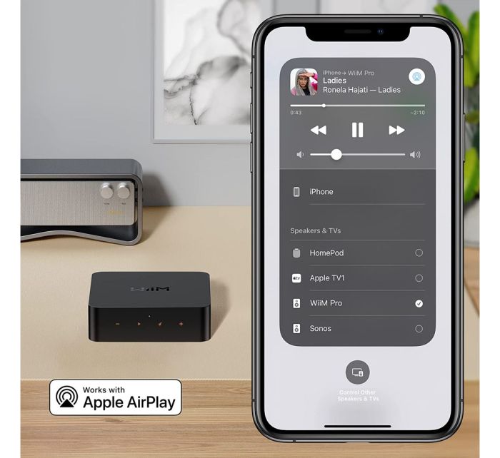 WiiM Pro 2.4G+ 5G version Airplay2